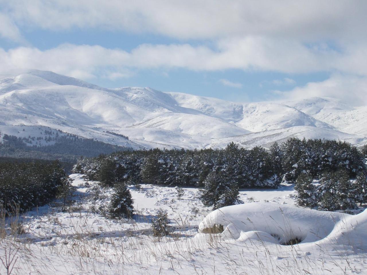 Barajas de Gredos Tinao De Gredosヴィラ エクステリア 写真