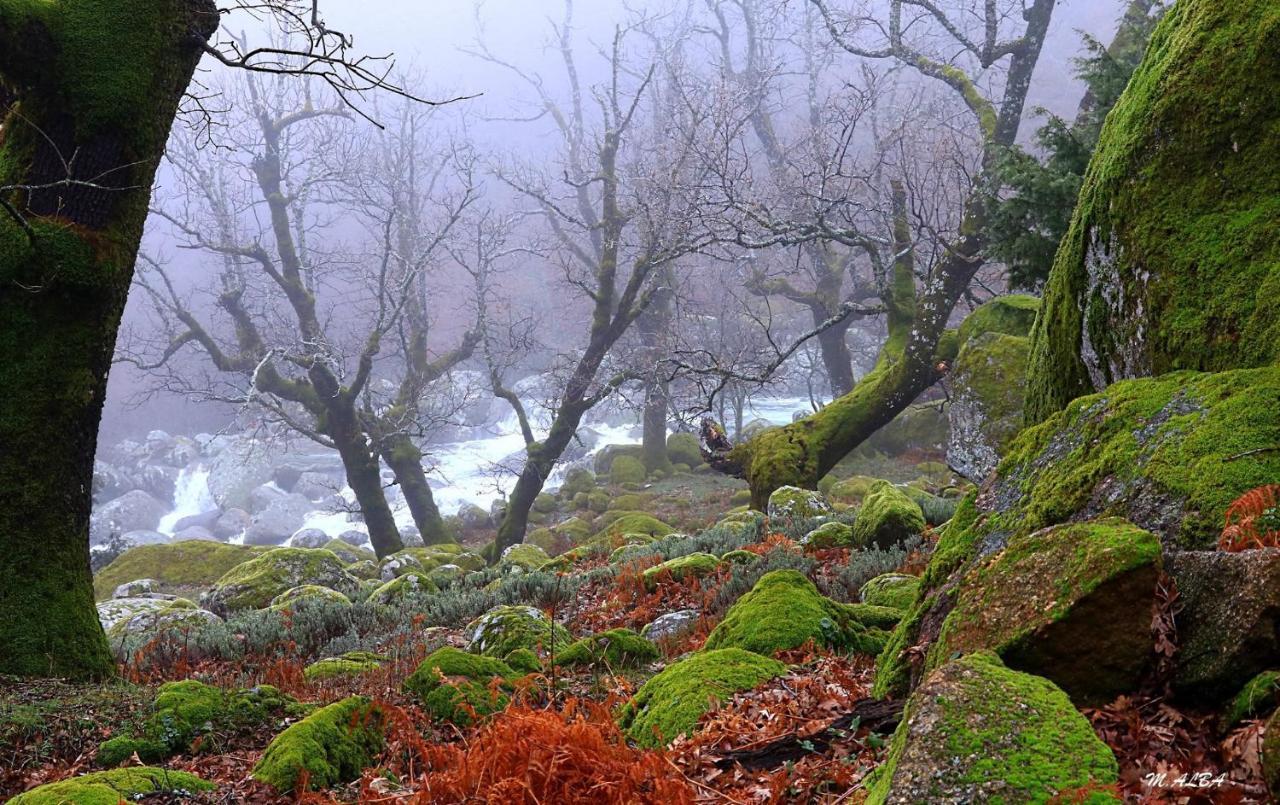 Barajas de Gredos Tinao De Gredosヴィラ エクステリア 写真
